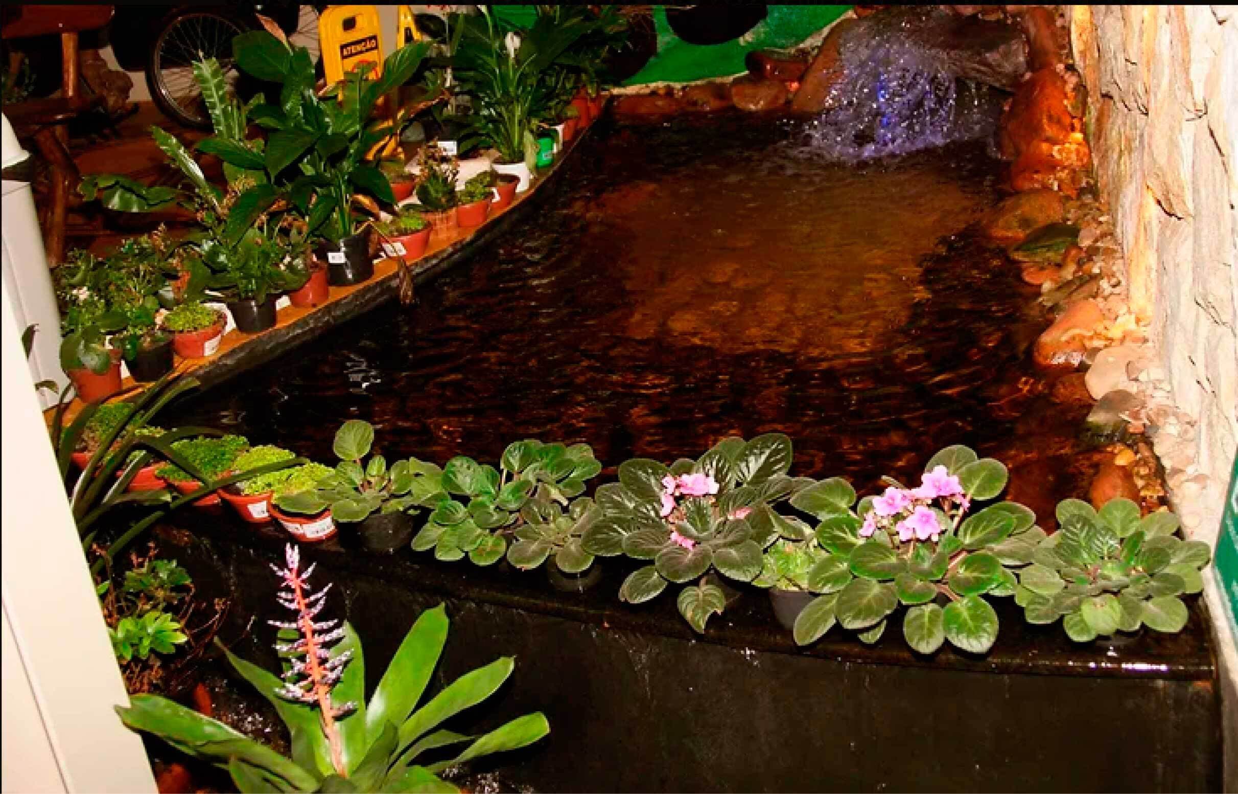 Espaço Safhari — ambiente e estrutura (3)