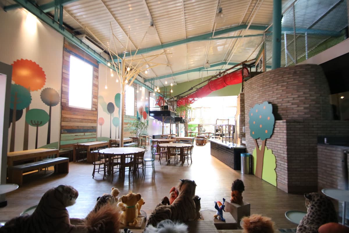 Kidbeeruta — ambiente e estrutura (3)