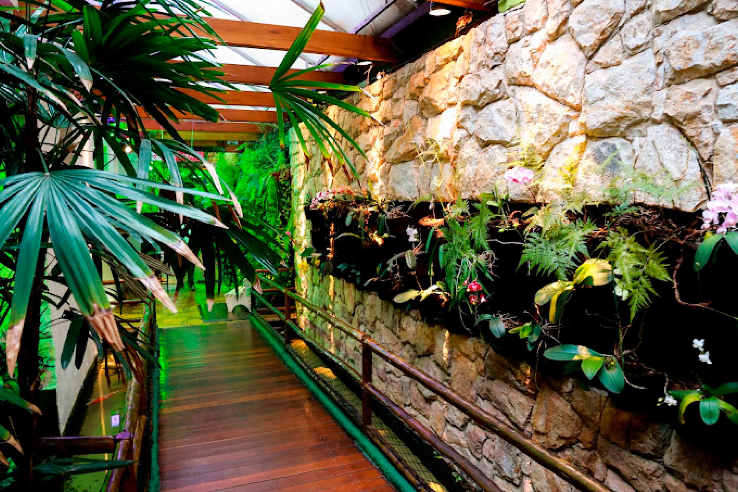 Espaço Safhari — ambiente e estrutura (4)